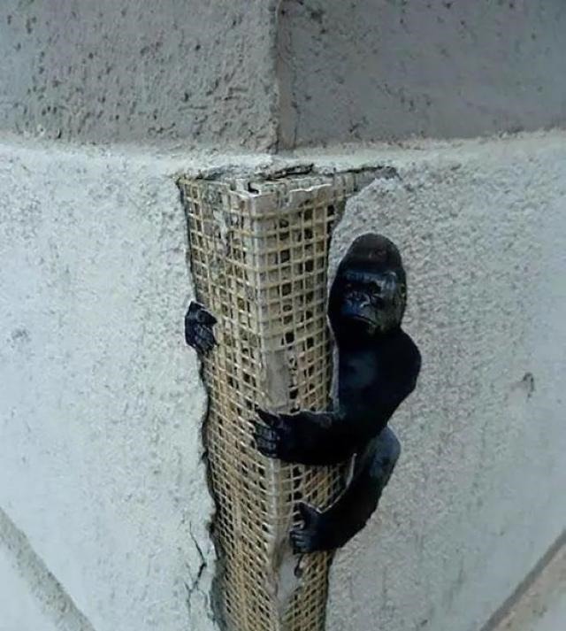 停车场#22个搞笑创意,让你不由地感叹,这些人真无聊,不过我喜欢?