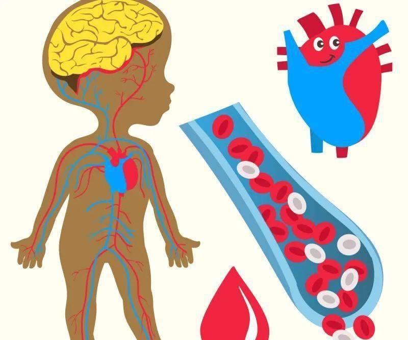 生理性|常感到疲乏无力,头晕目眩?可能是低血压在作怪!