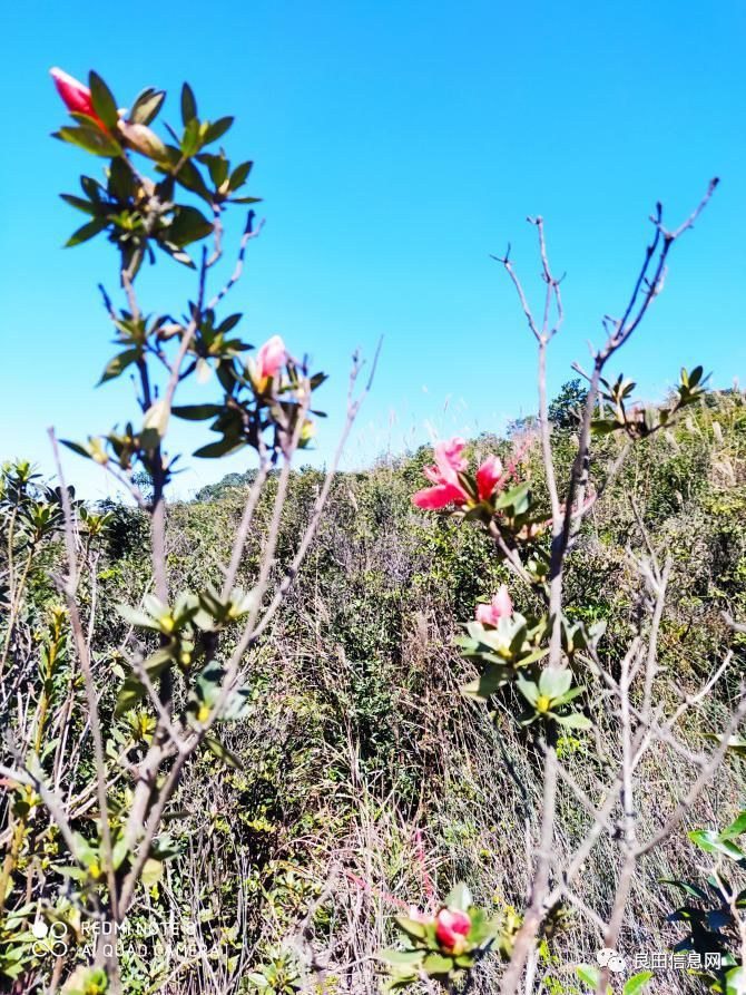高峰|探寻揭西第一高峰附近的仙人塘古庵遗址