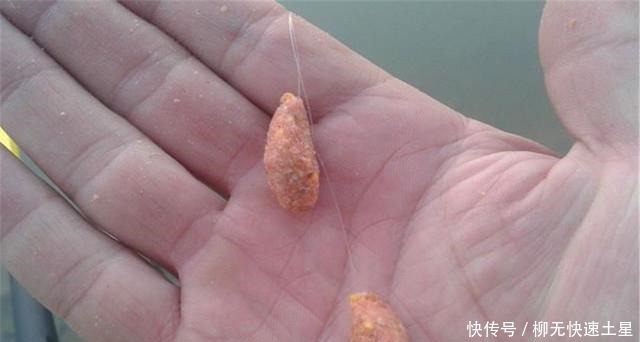 在家自制搓饵并不难,买点小鸡饲料,再加这2物就行了!