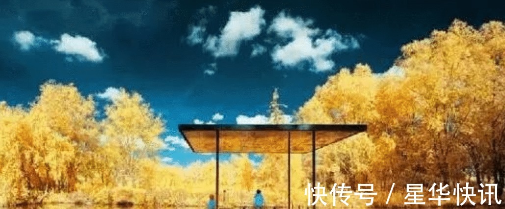 文化苦旅#余秋雨最肉麻一首诗,少年用来表白,中年才懂得其真正含义