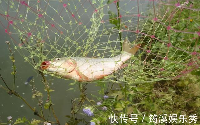 鱼口|钓鱼不看风,到头一场空,除了看水温,风向其实也很重要