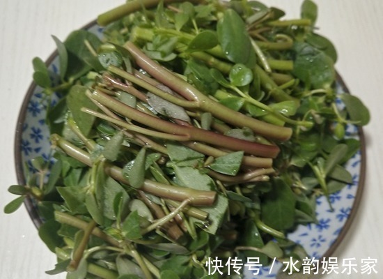 三高|“天然降压药”终于被找到,早晚吃一点,刮油祛脂,降三高