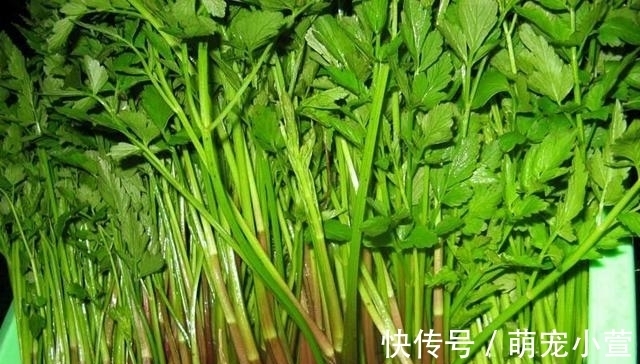 腊肉|食用期长达5个月,却少有人去摘,如今正当季,炒腊肉是一绝!