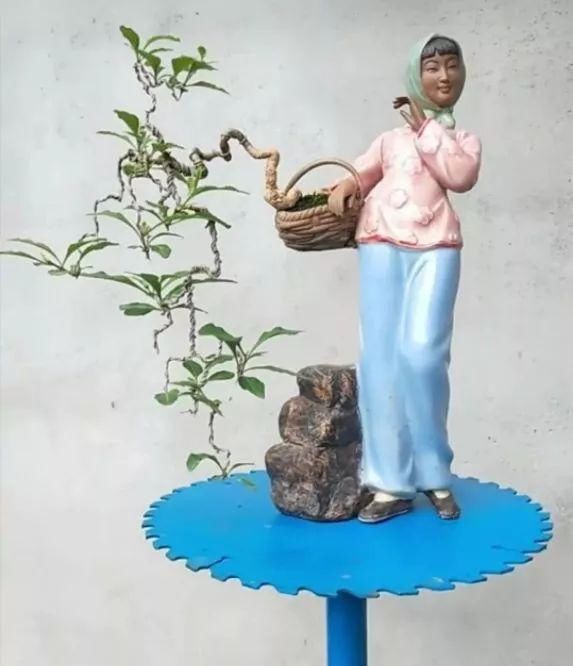 盆景玩成这样，真无语……