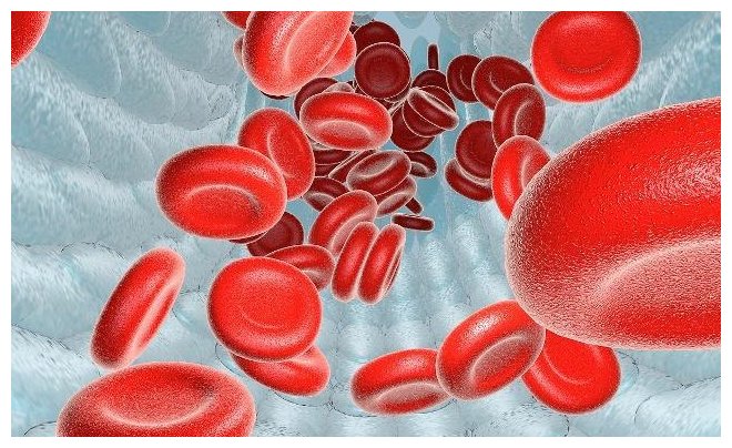 茄子|天然的血管“清道夫”找到了,每天换着吃,让血管一通到底