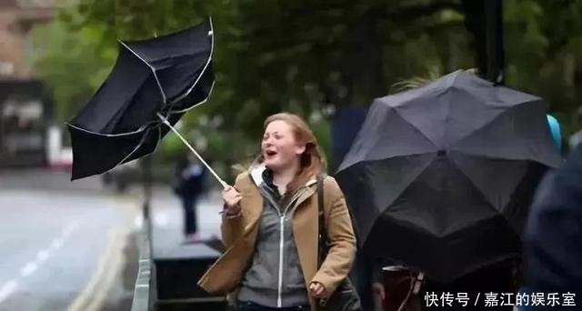 晒黑|薇娅“懒人伞”火了！小如手掌，晴雨随行，出街净赚回头率