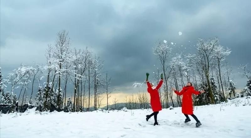  大雪：想念一场大雪纷飞 谱写一首冬日恋歌|话说二十四节气 | 大雪纷飞