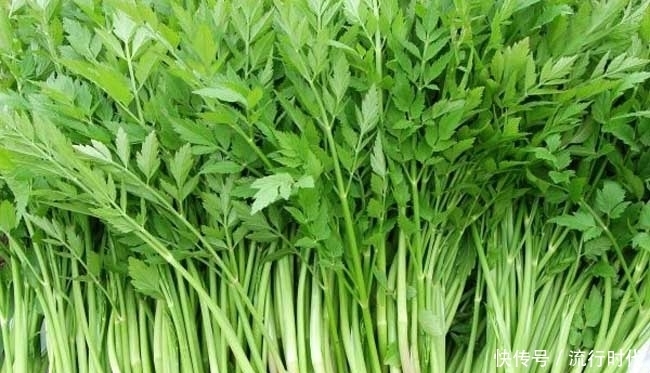 6月份多吃这3种宝贝野菜,滋阴润燥、保肝降血压,吃到就是赚到