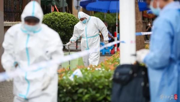 小区|出现确诊后排查逾6.8万人 这个上海速度是他们熬夜熬出来的！