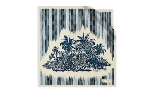 迪奥匠心呈献全新PALMS印花系列 彰显经典优雅