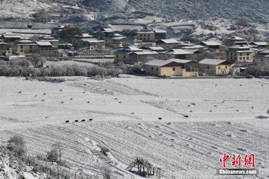 银装素裹|雪后香格里拉：银装素裹 美若仙境