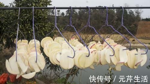 萝卜干|农村姑娘这样腌制萝卜干,1次腌10斤,香辣脆爽,吃到年都不会坏