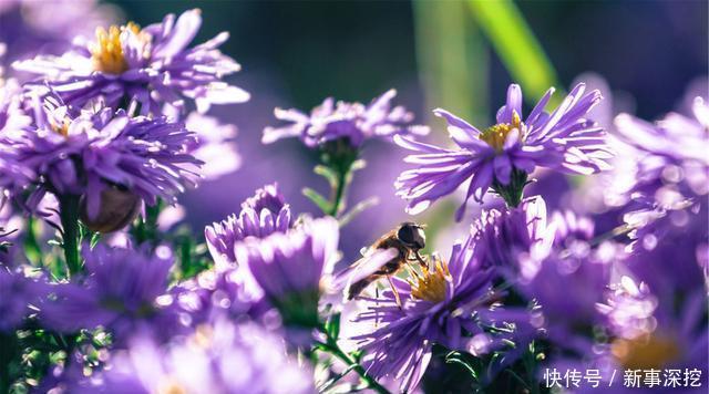 世界|能容纳世界的人,有一颗比这世界还要宽广的心