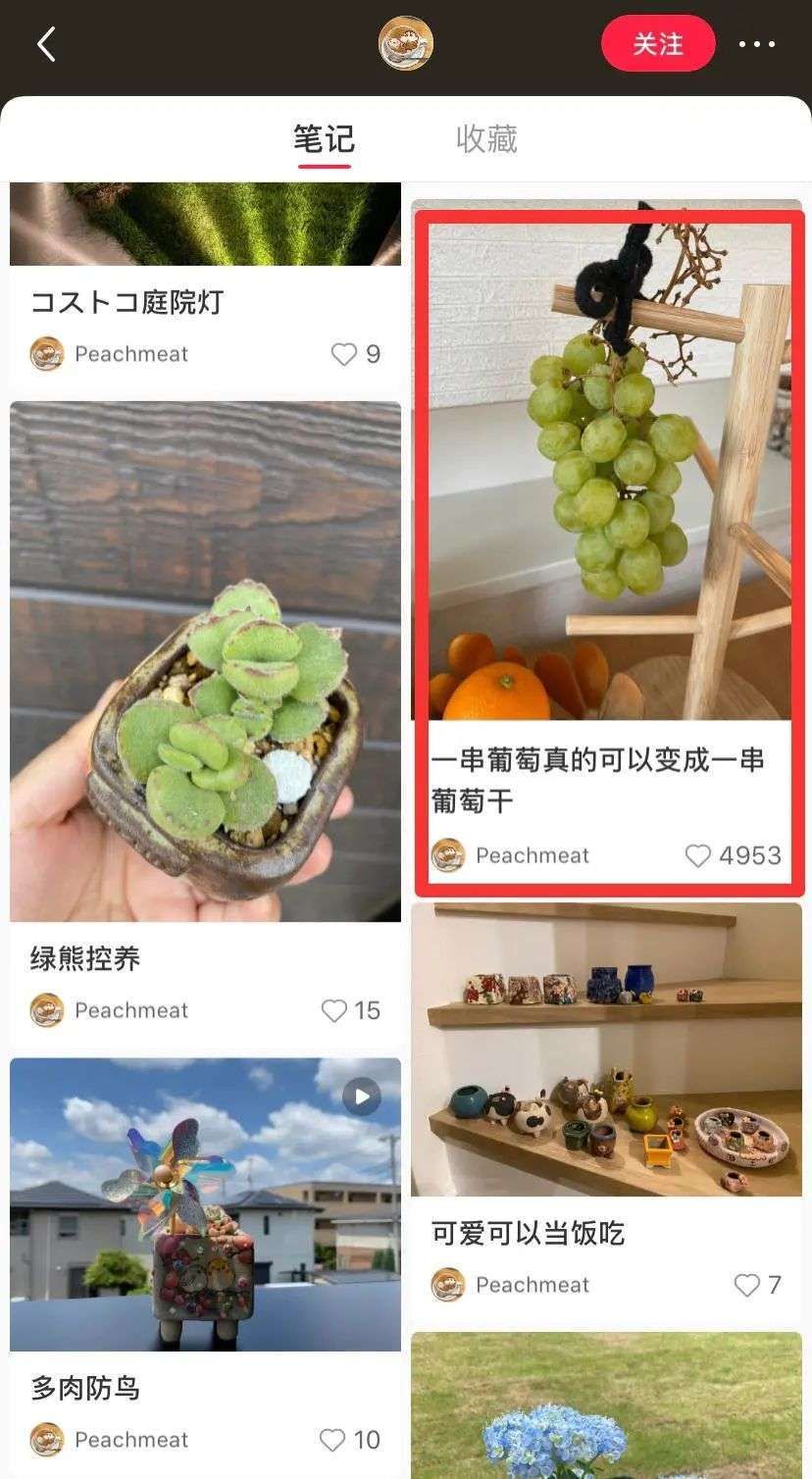 笔记|靠晒葡萄涨粉近4万，小红书莫名其妙的风口来了，要跟吗？