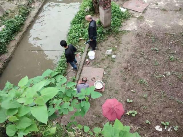 武冈|湖南这里河水上涨上百人钓鱼！一下子就有一脸盆！捞起挂...