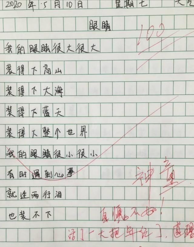 小学生作文《眼睛》火了,网友佩服文采,老师自愧不如