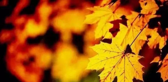 诗词|秋分时节, 遇见最美的秋分诗词!