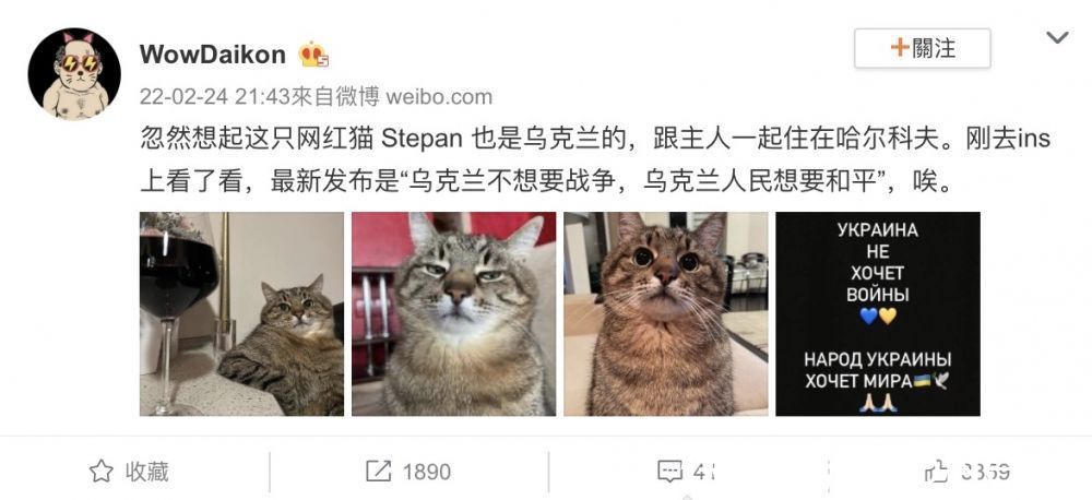 Step网红猫 Stepan 官方 Instagram 账号呼吁和平