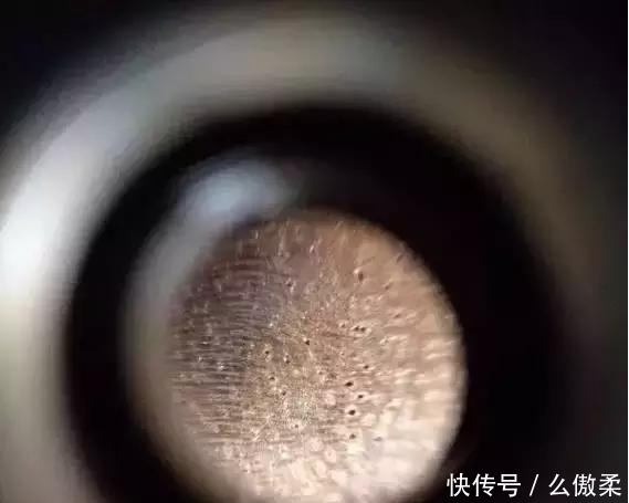 放大|把金丝楠木放大100倍后的样子,你有见过吗?