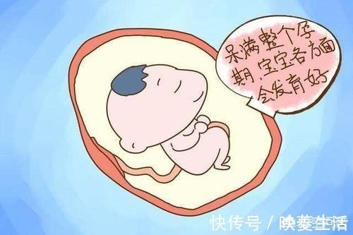 胎儿|怀孕38周生的宝宝跟40周生的区别大吗,这两周胎儿发育情况如何?
