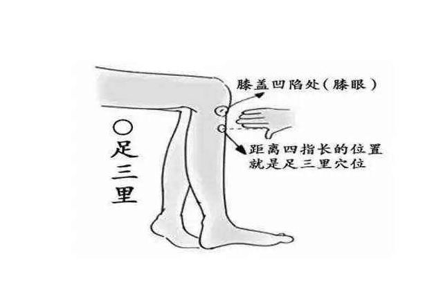 身体虚弱|曾身体虚弱，一受到风就感冒的老人，靠此法养生，健康逆袭