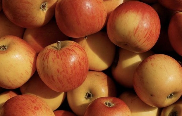 胆固醇|三类食物，堪称“降脂高手”，经常端上饭桌，血液更“清澈”