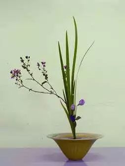 花道 池坊生花略识 快资讯