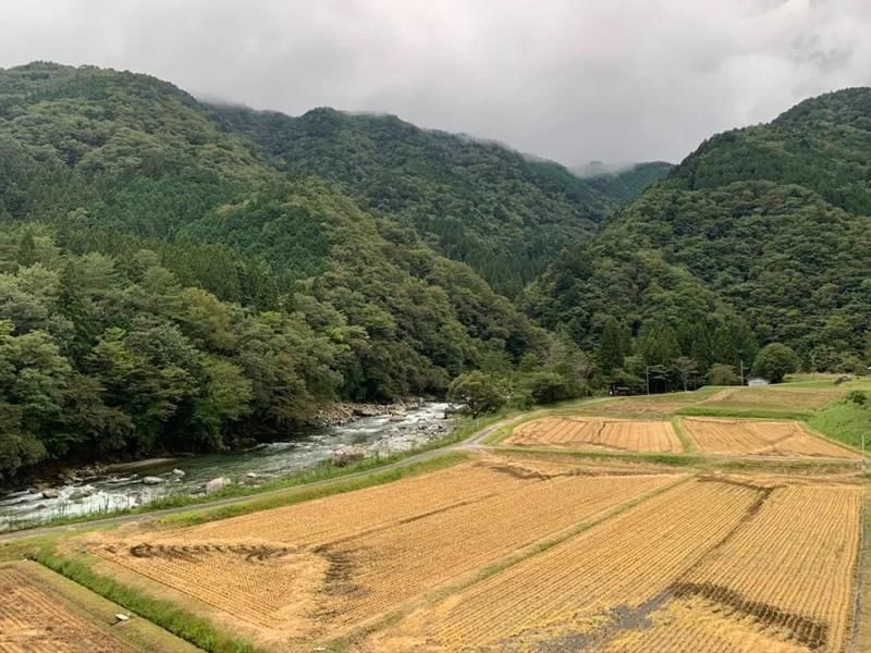 青春|郡上八幡-深入岐阜：暴雨如注的青春