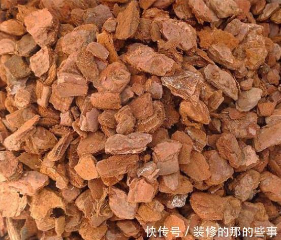 妖教|养花必修课,蓝妖教你认识最前沿的种植基质