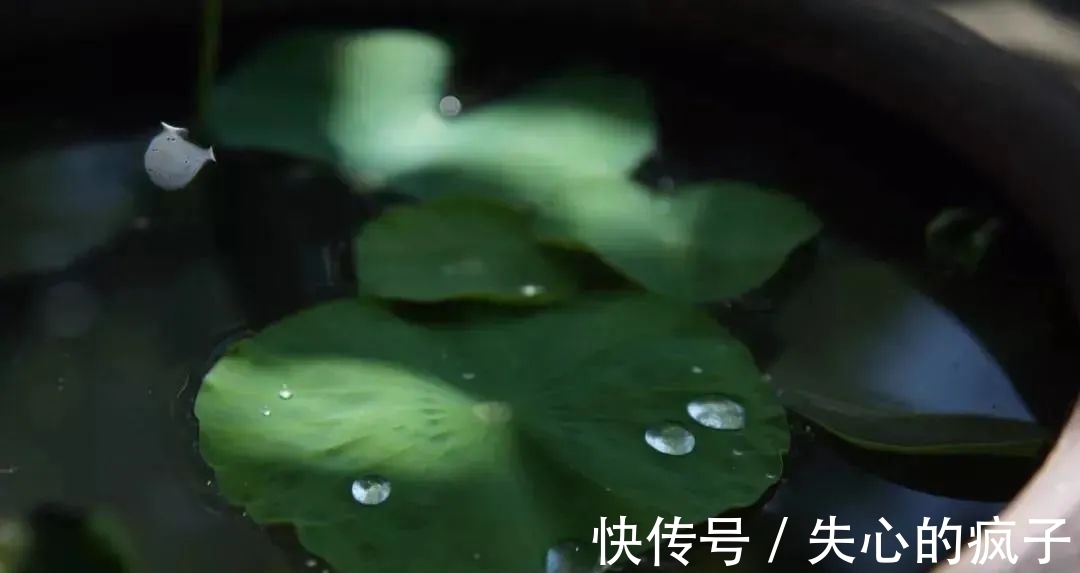 郭璞#金子般的6句话,终身受用!