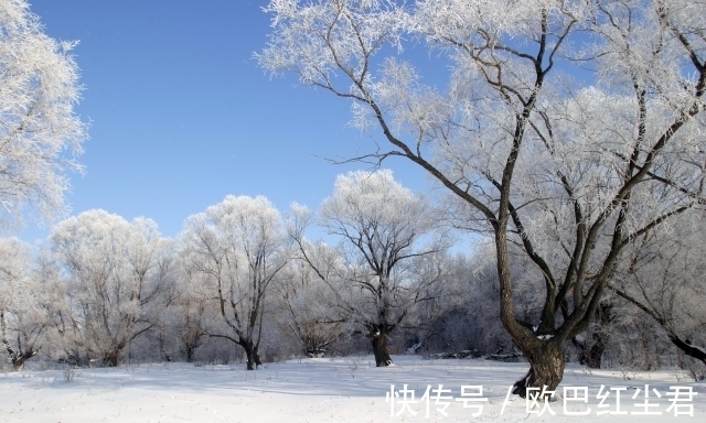 冬花#唐诗唯美春雪七首:夜来春雪照西楼,一枝春雪冻梅花