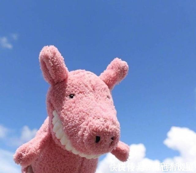 |刷屏的经典搞笑句子,诙谐逗趣,笑到满地找牙!