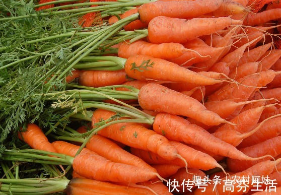 睡眠质量|胡萝卜与此物一起熬粥喝,肚腩小了,失眠好了,为了健康不妨试试