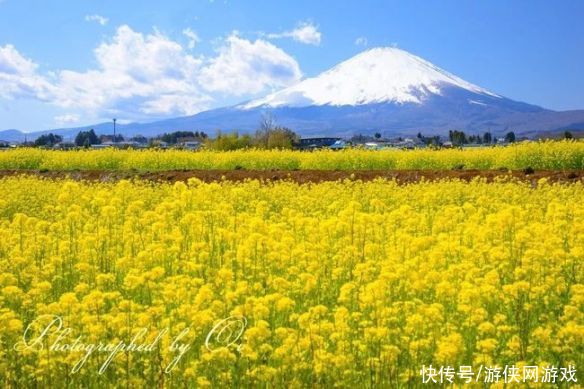 让人挪不开眼！日本富士山的四季美景 绝美风光一览