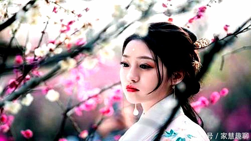 皇帝|明朝尽出奇葩皇帝，前有“蟋蟀皇帝”，后头又来个“蛤蟆皇帝”