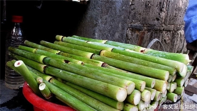 现在在农村都不常见了的美味植物,小时候经常吃,你们吃过吗?