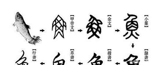 创造者|汉字冷知识,甲骨文是汉字的起源?太平天国促进了汉字的简化?