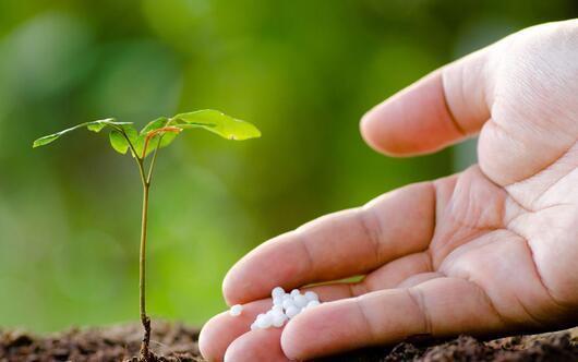 养花的这些臭毛病,占三个就说明不会养花,你占了几个