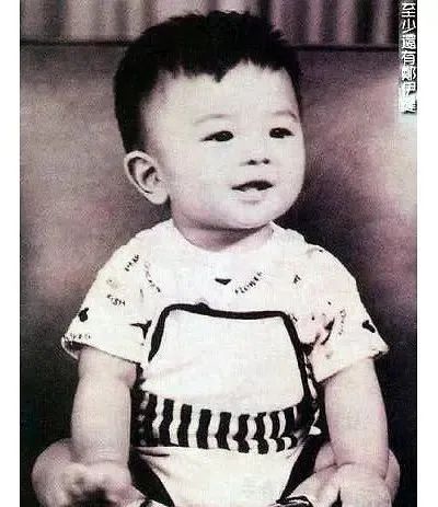 罗文|“古惑仔”重聚参加综艺,郑伊健怎么还如此“不上进”?