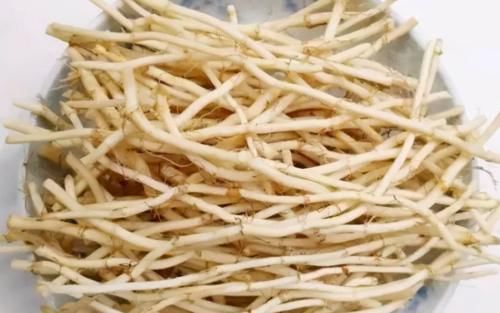 燃脂|秋天来了女性多减肥，常吃3种食物，排出毒素，燃脂瘦身身材苗条