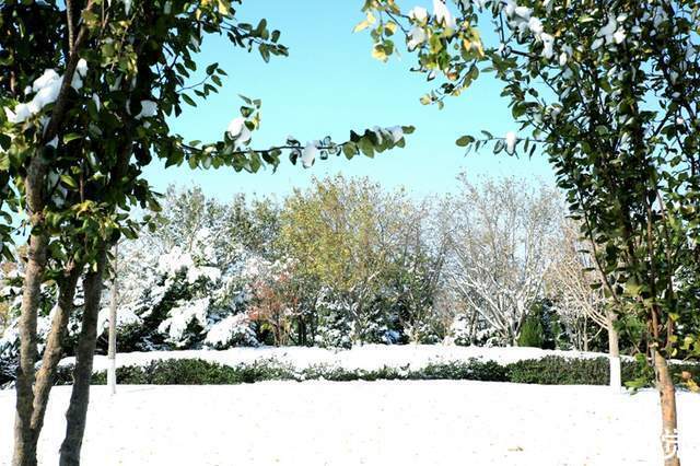 咏冰颂雪$咏冰颂雪迎冬奥