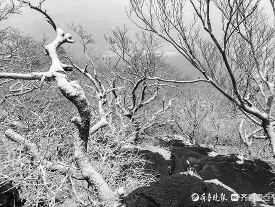 元宵节|冒雪登上千佛山，一览泉城美景、北国风光