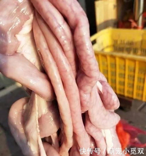 猪粉肠|牛身上不可多得的“宝贝”，肉贩子总会偷偷留下，懂行的才会吃