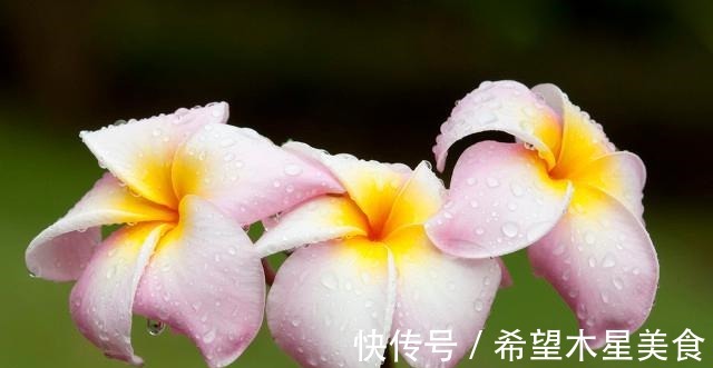 锻炼身体|28岁女孩学游泳锻炼身体，私教教练却百般骚扰，我怕了！