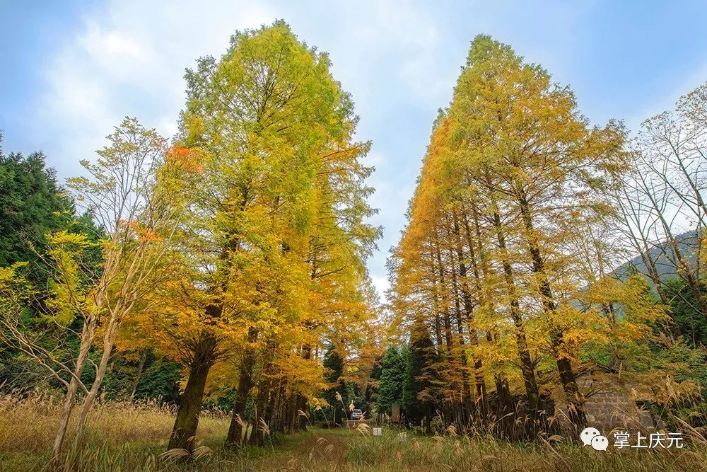 茶木淤|百山祖国家公园28°N的茶木淤，与秋天约会一场