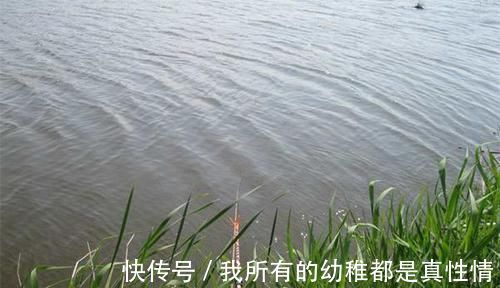 钓友|野钓中钓点选择技巧:从4个方向入手,选出来的都是鱼扎堆的地方