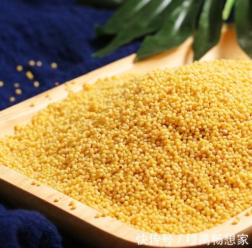 小米粥|煮小米粥，挑选小米是关键，牢记3技巧，快速开花，米油厚不溢锅