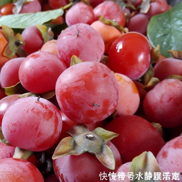 气色|女性最好的零食,不想老太快要多吃,补血活血,保持健康好气色