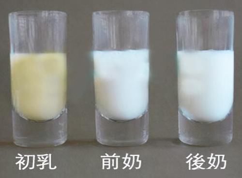 无机盐|新生儿“第一口”喝水,还是喝奶?妈妈别迷糊,喂错了影响发育